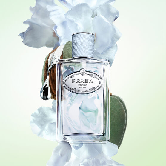 Les Infusions D'Amande